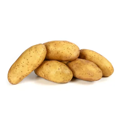 Семенной картофель Ривьера, Голландия купить - Компания ФОРСАГРО