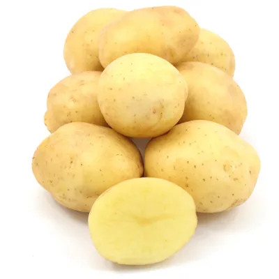 Картофель семенной Королева Анна – купить семенной картофель в  интернет-магазине Лафа с доставкой по Москве, Московской области и России