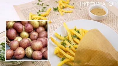 Картофель сорта Гранада: описание, преимущества и недостатки, посадка и  уход + фото и отзывы