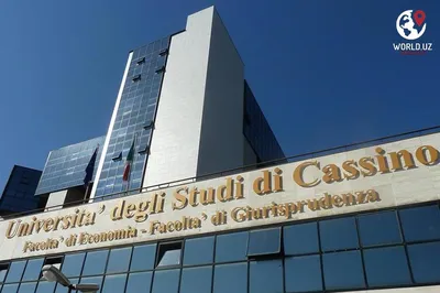 Университет Кассино и Южного Лацио (Италия) | Центр совместных  образовательных программ