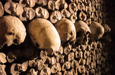 Ночные клубы и галереи скелетов: Что на самом деле скрывают 300 км тоннелей  под Парижем