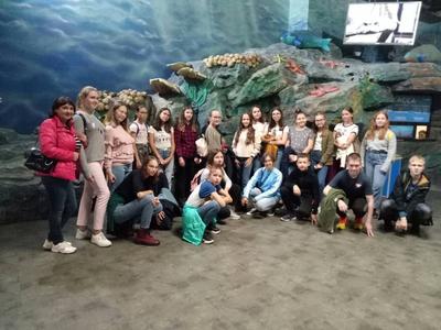 Казанский океанариум – путешествие в волшебное подводное царство Поволжья