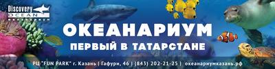 Океанариум. Крупнейший в Поволжье. Первый в Татарстане.