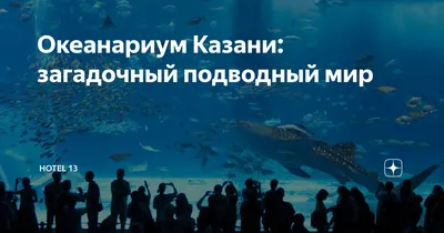 Океанариум Sochi Discovery World Aquarium | самый большой океанариум в  России | Россия | Сочи