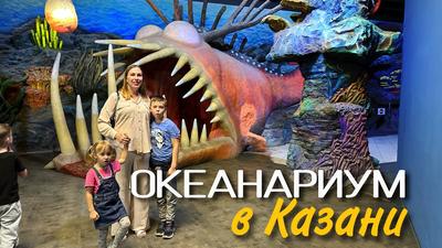 10 удивительных открытий в Казанском океанариуме, которые вас очаруют -  YouTube