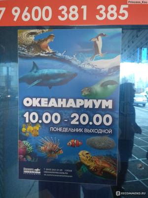 Отзыв о Океанариум (Россия, Казань) | Нам понравилось у ребенка было много  эмоций
