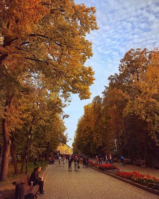 Экскурсионные туры в Казань для групп школьников, студентов, родителей с  детьми, осень-зима 2019-2020.