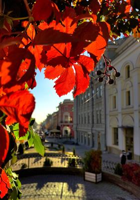 Осень в Казани 🍁, реальное фото, …» — создано в Шедевруме