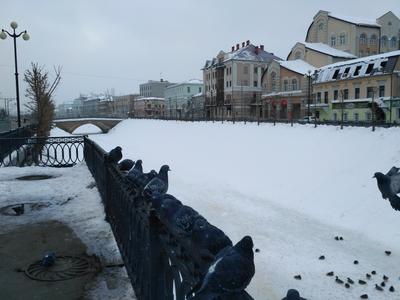 В Татарстане прогнозируют аномально теплую зиму — РБК