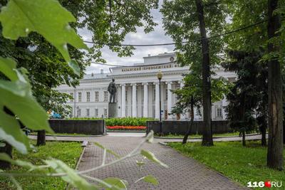 Почему иностранные студенты в Казани не смогли попасть на учебу в КФУ - 20  сентября 2023 - 116.ру