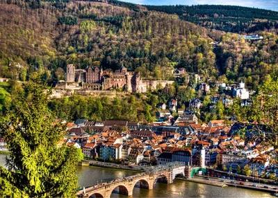 Красавец Heidelberg | Пикабу