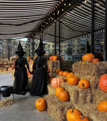 Нужно ли праздновать Хеллоуин в России? Мнения за и против американского  праздника - Рамблер/новости