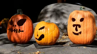 Как отмечают Halloween в Америке?🕷️👻🎃 Раз в году у взрослых есть веселый  праздник 🤪 Хэллоуин – это время, когда мы можем выйти из-под пов… |  Instagram