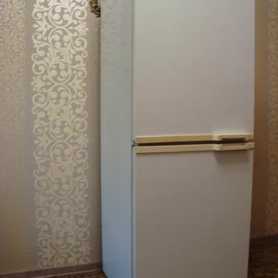 Холодильник Минск - 128 – купить в Курске, цена 5 000 руб., продано 5  октября 2018 – Холодильники