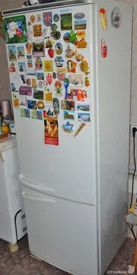 Холодильник Атлант ХМ 6024-582 в Минске - купить в рассрочку в интернет  магазине Holodilnik