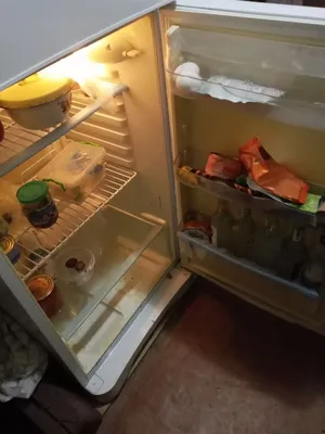Холодильники - купить холодильник в Киеве, Украине: цена, отзывы | ROZETKA