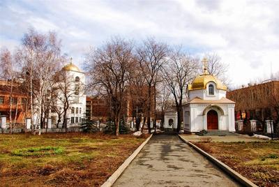 Икона Матроны Московской: где находится, в чем помогает чудотворный образ,  значение святой иконы