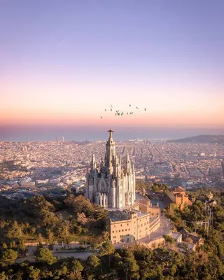 Саграда фамилия в Барселоне (58 фото) | Храм святого семейства, Барселона,  Саграда фамилия