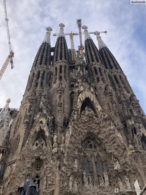 Кафедральный собор Барселоны: храм, сияющий собственным светом - Aerobús  Barcelona