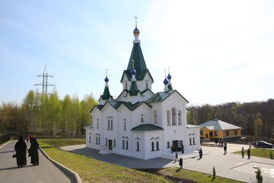 Нижний Новгород Церковь Рождества Иоанна Предтечи Купол Глава Фотография