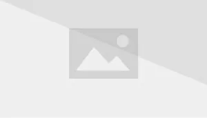 положение 8 месяцев бульдога французских старое Стоковое Изображение -  изображение насчитывающей мило, длина: 20378319