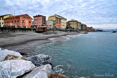 Villa Bianca :: Chiavari