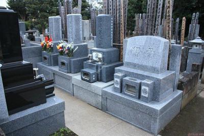 Какие современные кладбища Москвы изначально были чумными | Кириллица | Дзен