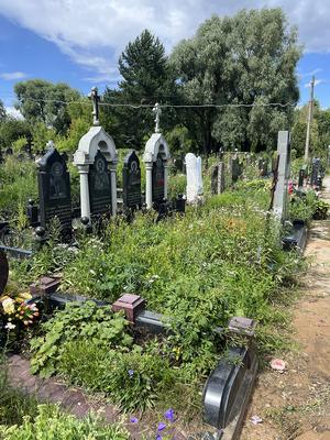 Мэрия Москвы закрыла кладбища из-за коронавируса - Ведомости