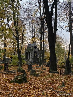 Панорама: Смоленское кладбище, кладбище, Камская ул., 24Е, Санкт-Петербург  — Яндекс Карты
