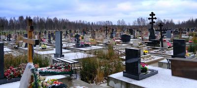 5 самых красивых кладбищ Петербурга, которые нужно увидеть, даже если вы не  гот | Sobaka.ru