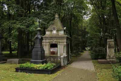 5 самых красивых кладбищ Петербурга, которые нужно увидеть, даже если вы не  гот | Sobaka.ru