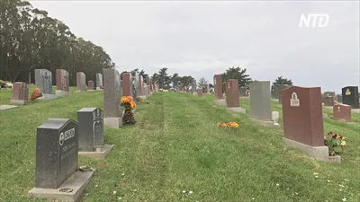 кладбище воинские США стоковое фото. изображение насчитывающей могила -  7583564