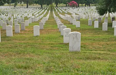 Крупнейшее кладбище Северной Америки не справляется с наплывом тел умерших  от COVID — Новости мира сегодня NTDНовости мира сегодня NTD
