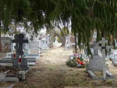 Моя жизнь в Штатах Показал американцу фото наших кладбищ, сказал что это  ужасно, что его так возмутило | ГДЕ НАМ ЖИТЬ | Дзен