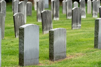 жизньвштатах #сша #америка #кладбище #американцы #американскиефильмыу... |  TikTok