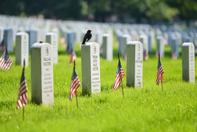 Военные кладбища в США