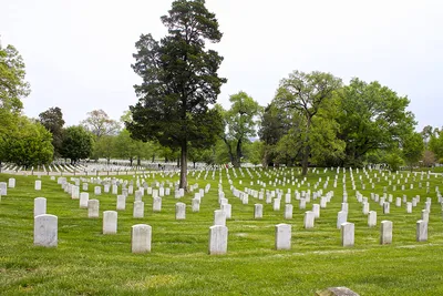 Принц Гарри почтил память павших солдат Британии, но на кладбище в США -  MainStyles.ru