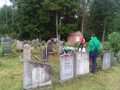 Кладбище в Германии стоковое фото. изображение насчитывающей рябиновки -  147769024