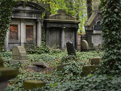 Сколько стоит место на кладбищах Европы — сколько платят за могилу в  европейских странах