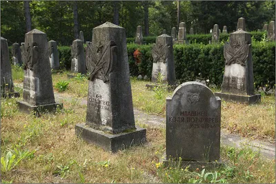 За могилами солдат вермахта во Ржеве некому ухаживать: Германия  самоустранилась - МК