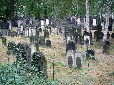 В Германии в лотерею разыграли места на кладбище - АЗЕРТАДЖ