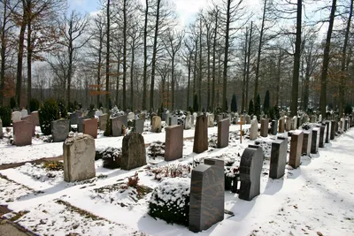 На Курской дуге открыли кладбище немецких солдат - KP.RU