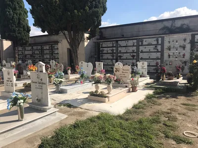 Орден Черепахи: Миланское кладбище. Искусство вечности (Cimitero  monumentale di Milano)