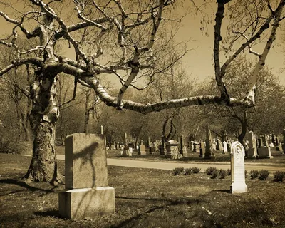 Могилы на кладбище в Италии это кладбище войны недалеко от Рима  Редакционное Изображение - изображение насчитывающей могила, фото: 174193445