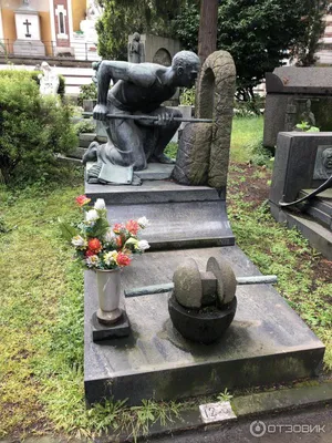 Признак кладбища в Южной Италии - кипарисы. # чиленто #кладбище  #южнаяиталия | Instagram