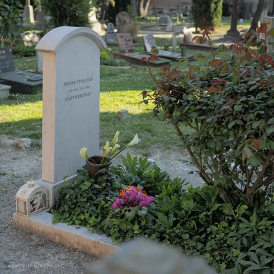 Смерть гражданина Украины в Италии: куда обратиться за помощью - Закордон