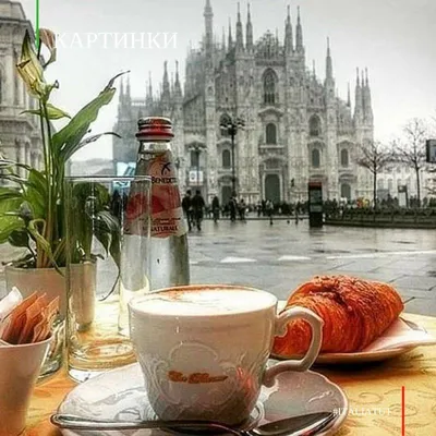 italiatut_картинки ] Идеальная кофе - пауза в Милане ☕ Согревающий аромат  настоящего итальянского кофе и свежий бриошь... Те… | Италия, Где провести  отпуск, Кофе