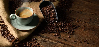 Продам: кофе на условиях exw в Италии
