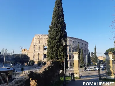 Колизей в Риме описание главной достопримечательности Италии