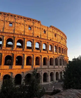 Колизей: Величие древнего Рима оживает в сердце Италии | Мир в кадре -  Загадки и Тайны Мира | Дзен